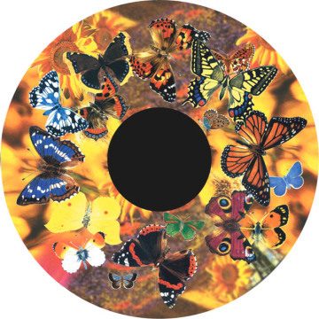 Butterflies  - 6 Picture Wheel